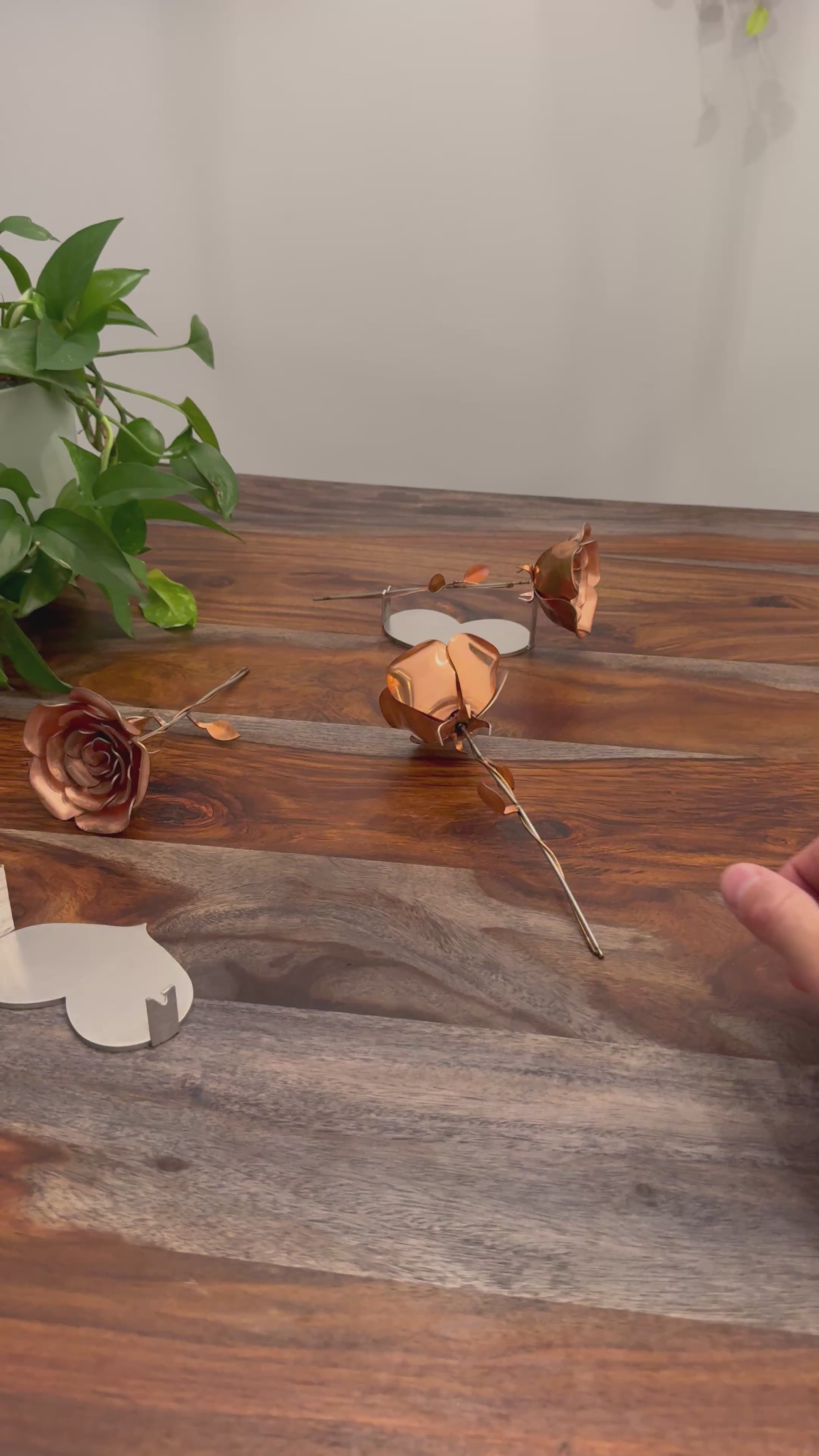 Infinity Rose - Copper & Brass